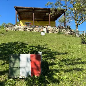 Matilde Catabbio